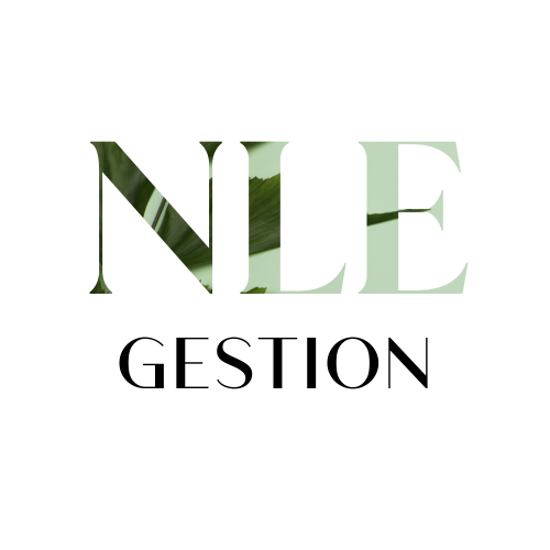 NLE GESTION